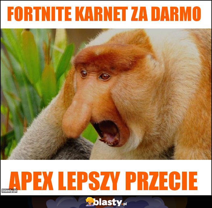 FORTNITE KARNET ZA DARMO FORTNITE KARNET ZA DARMO