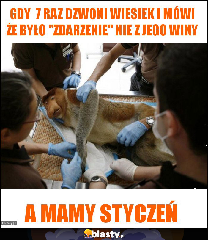 Gdy  7 raz dzwoni Wiesiek i mówi że było 