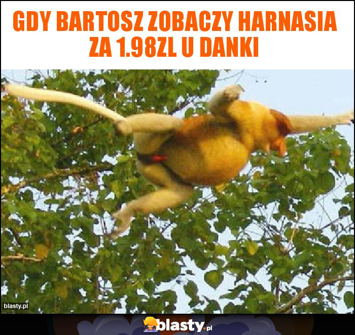 GDY Bartosz zobaczy harnasia za 1.98zl u danki