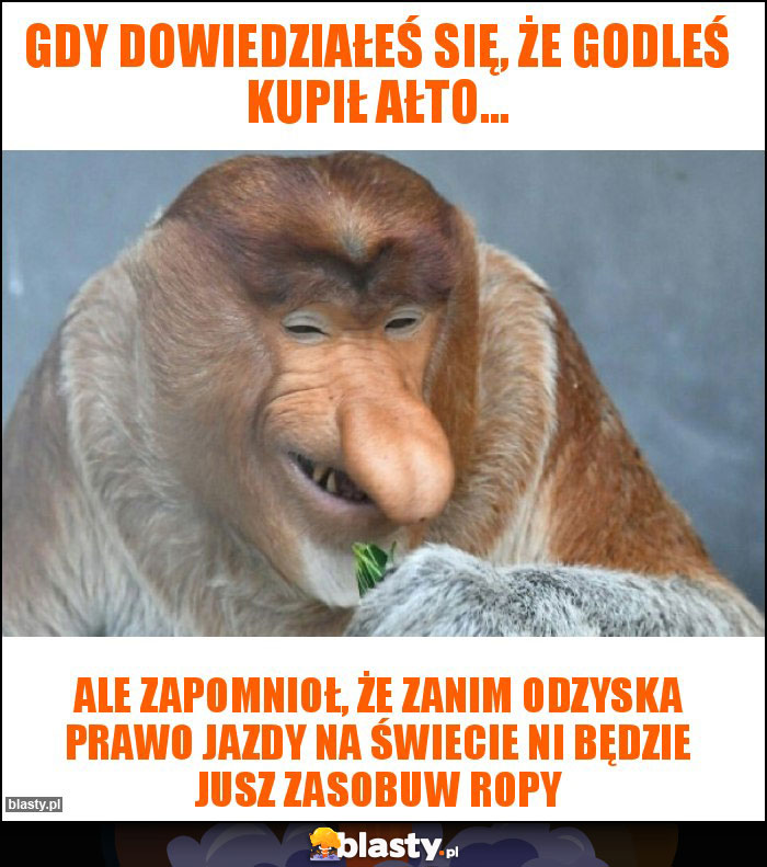 Gdy dowiedziałeś się, że Godleś kupił ałto... Gdy dowiedziałeś się, że Godleś kupił ałto...