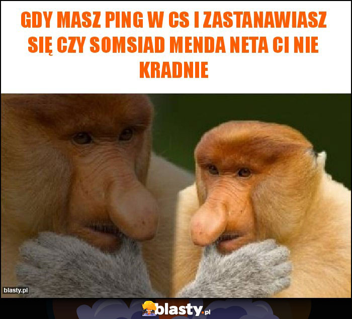 GDY masz ping w cs i zastanawiasz się czy somsiad menda neta ci nie kradnie