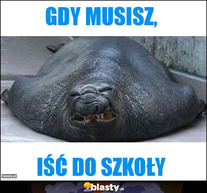 Gdy musisz, Gdy musisz,