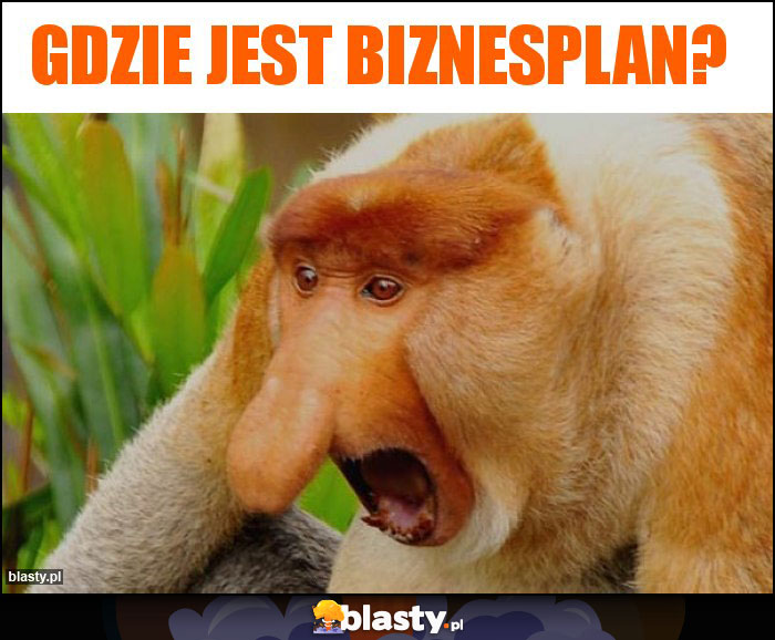Gdzie jest biznesplan? Gdzie jest biznesplan?