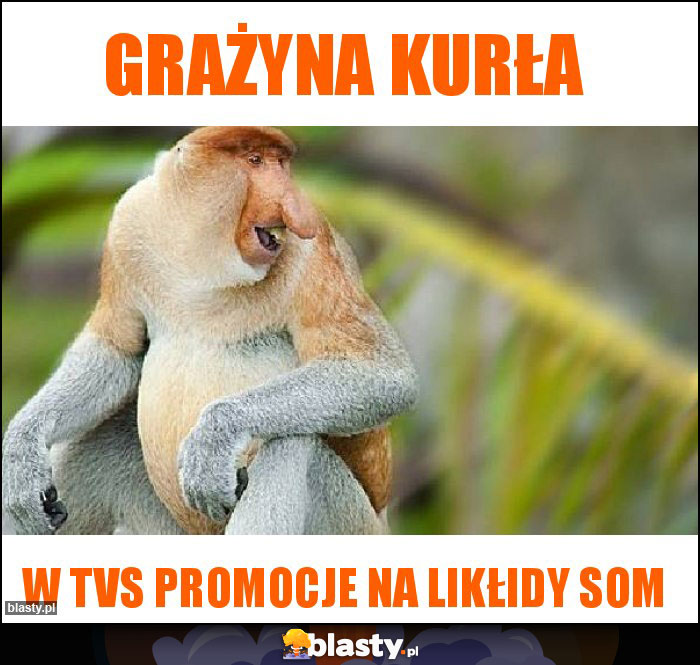 Grażyna kurła Grażyna kurła