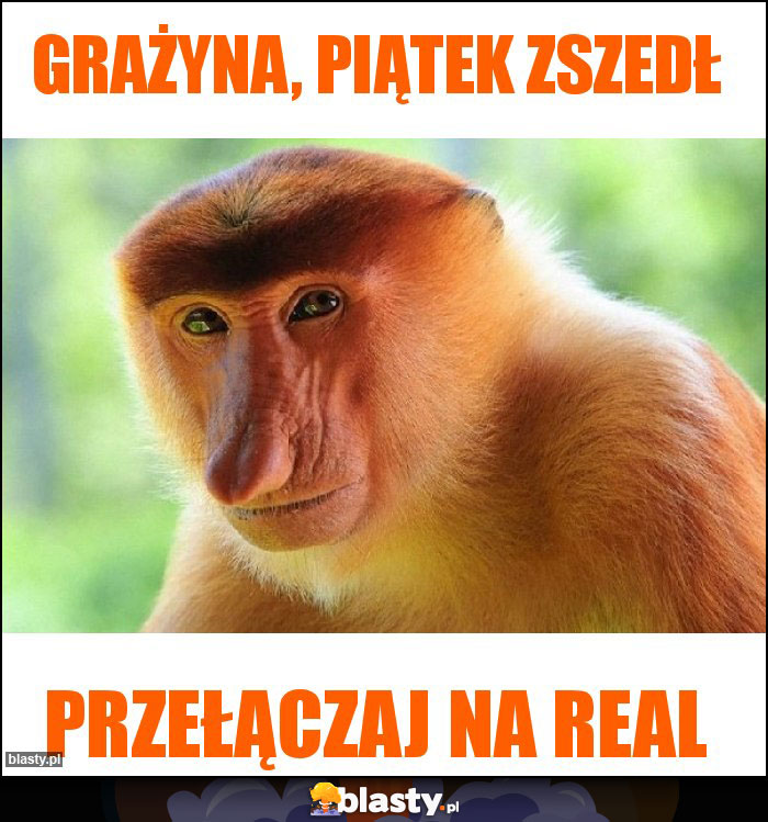 Grażyna, Piątek zszedł Grażyna, Piątek zszedł