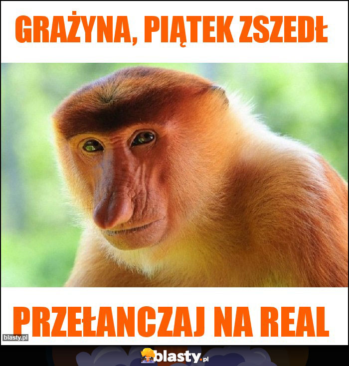 Grażyna, Piątek zszedł Grażyna, Piątek zszedł