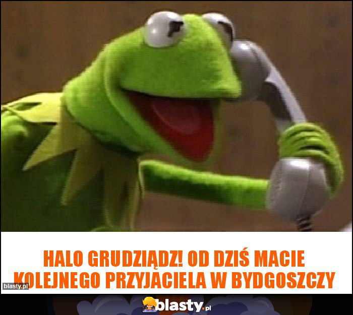 Halo Grudziądz! Od dziś macie kolejnego przyjaciela w Bydgoszczy Halo Grudziądz! Od dziś macie kolejnego przyjaciela w Bydgoszczy