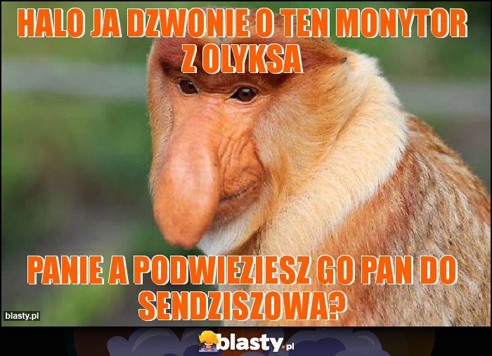 halo ja dzwonie o ten monytor z olyksa halo ja dzwonie o ten monytor z olyksa