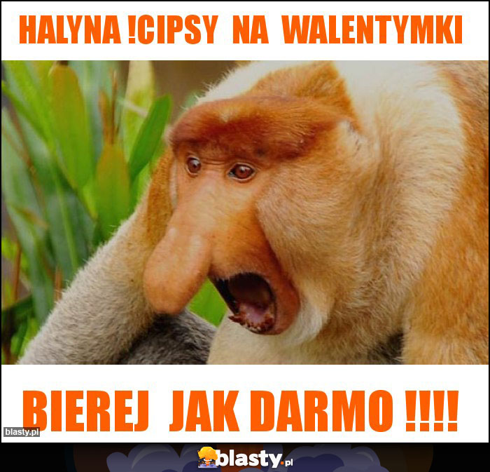 Halyna !cipsy na walentymki Halyna !cipsy na walentymki