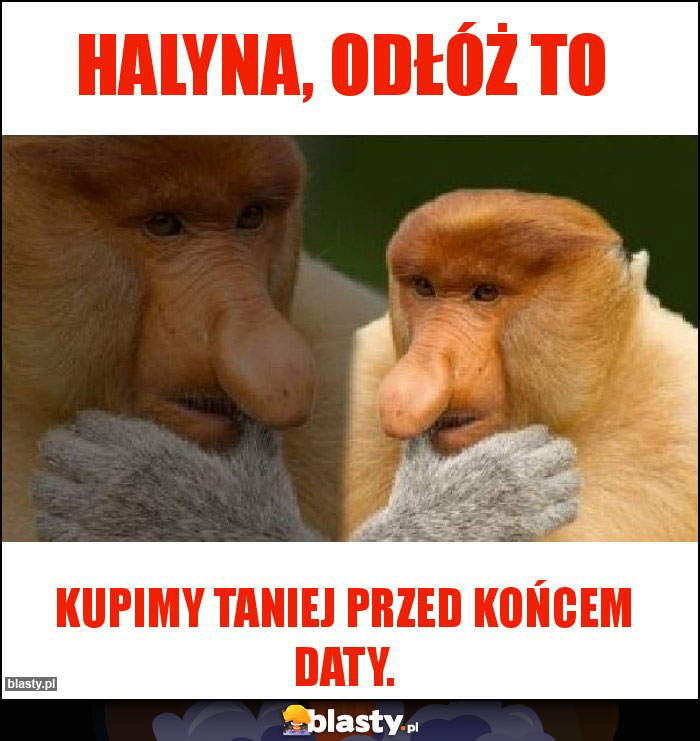 Halyna, odłóż to Halyna, odłóż to