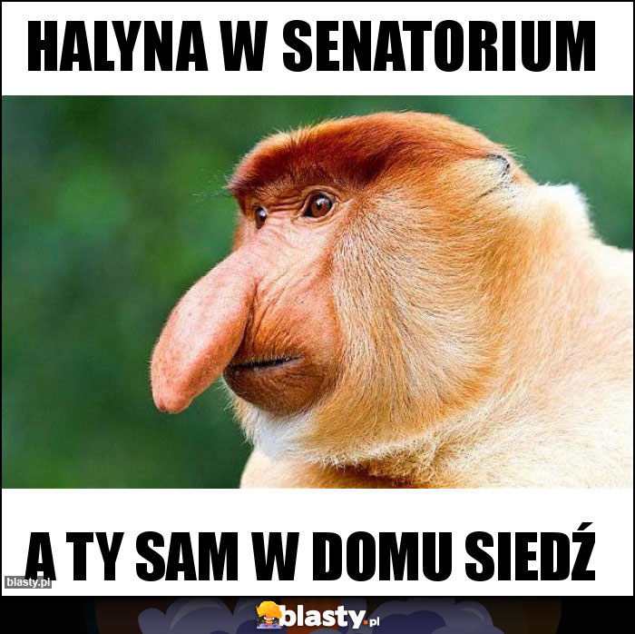Halyna w senatorium Halyna w senatorium