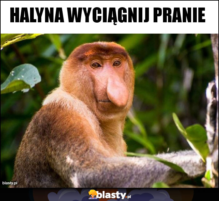 Halyna wyciągnij pranie Halyna wyciągnij pranie