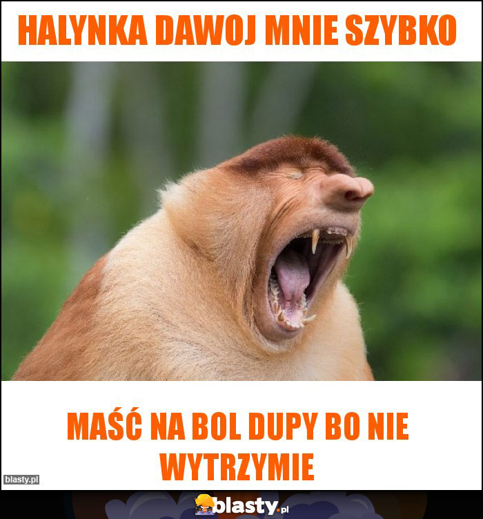Halynka dawoj mnie szybko Halynka dawoj mnie szybko
