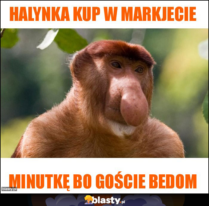 Halynka kup w markjecie Halynka kup w markjecie