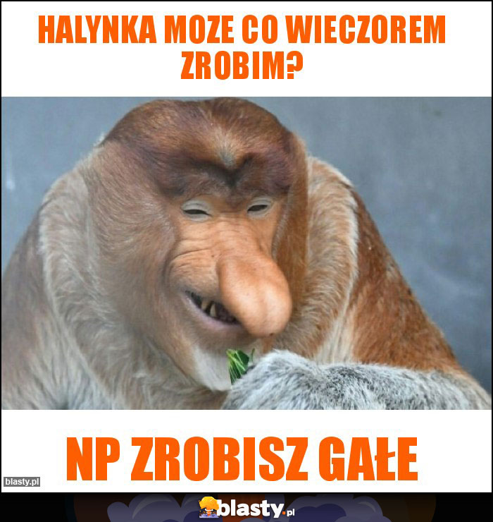 halynka moze co wieczorem zrobim? halynka moze co wieczorem zrobim?