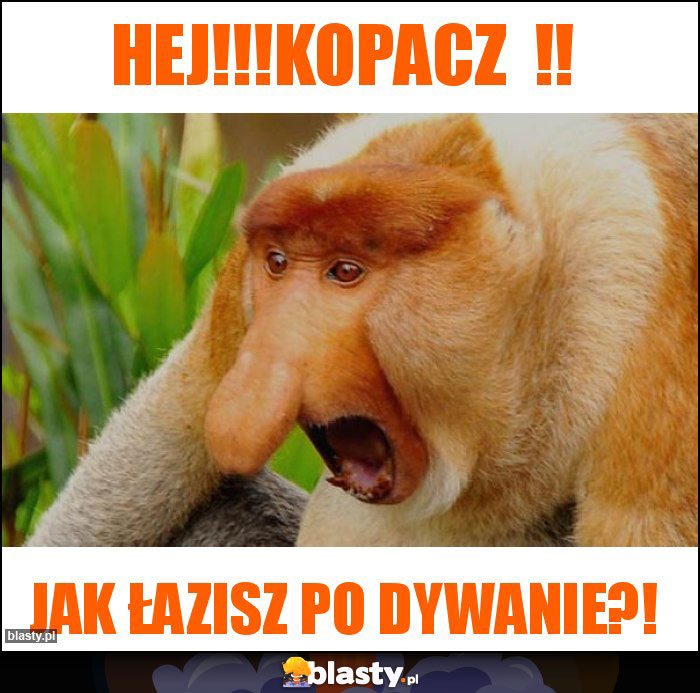 HEJ!!!KOPACZ !! HEJ!!!KOPACZ !!