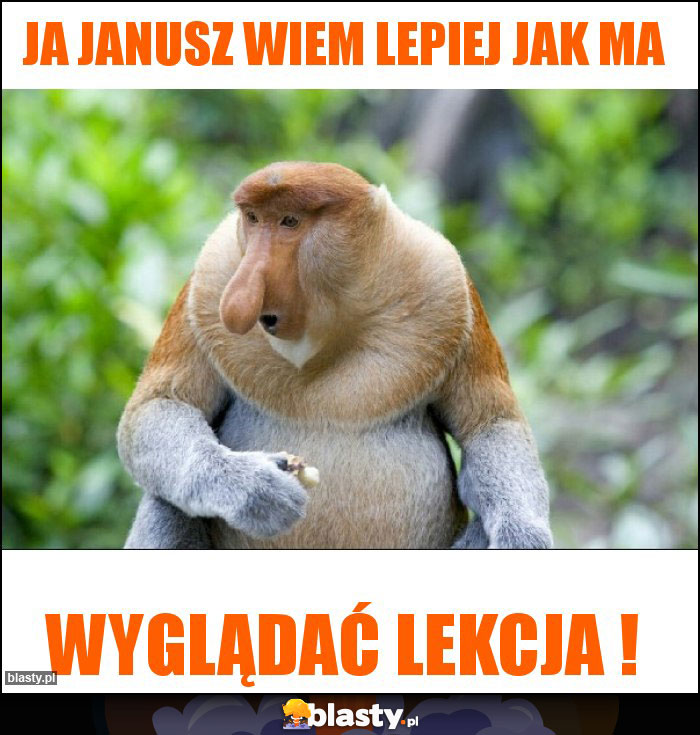 ja Janusz wiem lepiej jak ma ja Janusz wiem lepiej jak ma
