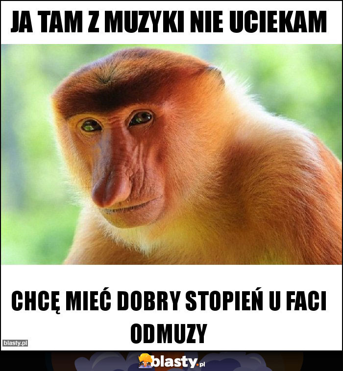Ja tam z muzyki nie uciekam Ja tam z muzyki nie uciekam