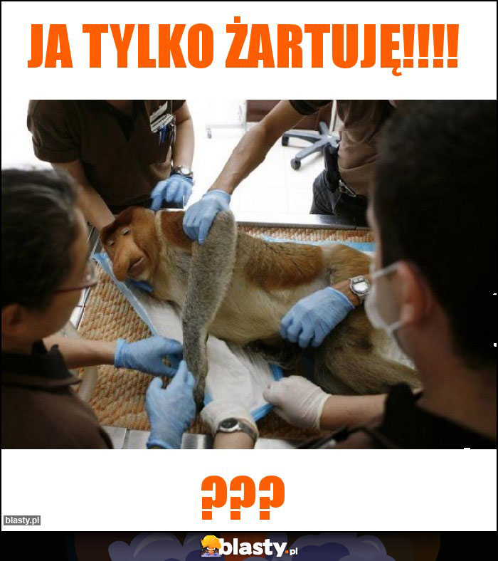 JA TYLKO ŻARTUJĘ!!!! JA TYLKO ŻARTUJĘ!!!!