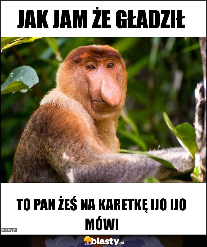 Jak jam że gładził Jak jam że gładził