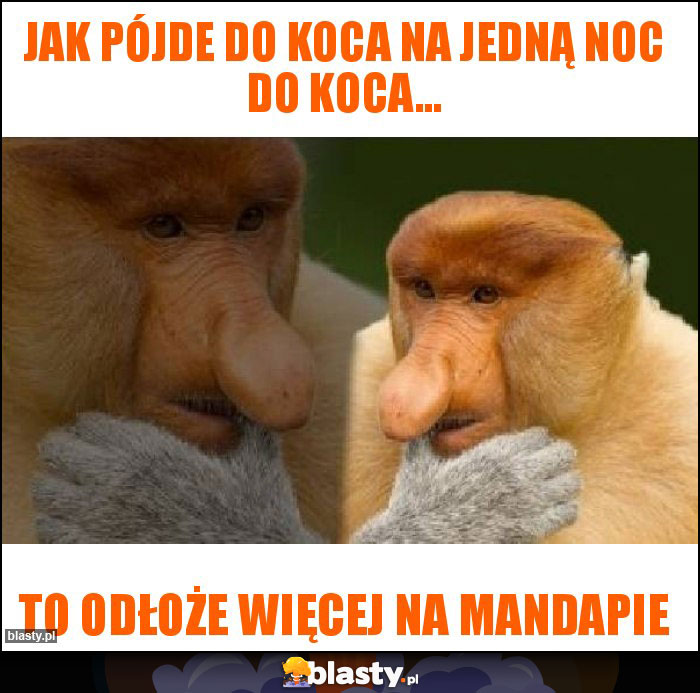 Jak pójde do koca na jedną noc do koca... Jak pójde do koca na jedną noc do koca...