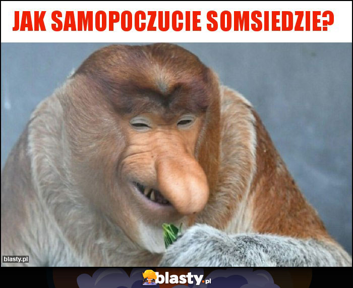 Jak samopoczucie somsiedzie? Jak samopoczucie somsiedzie?