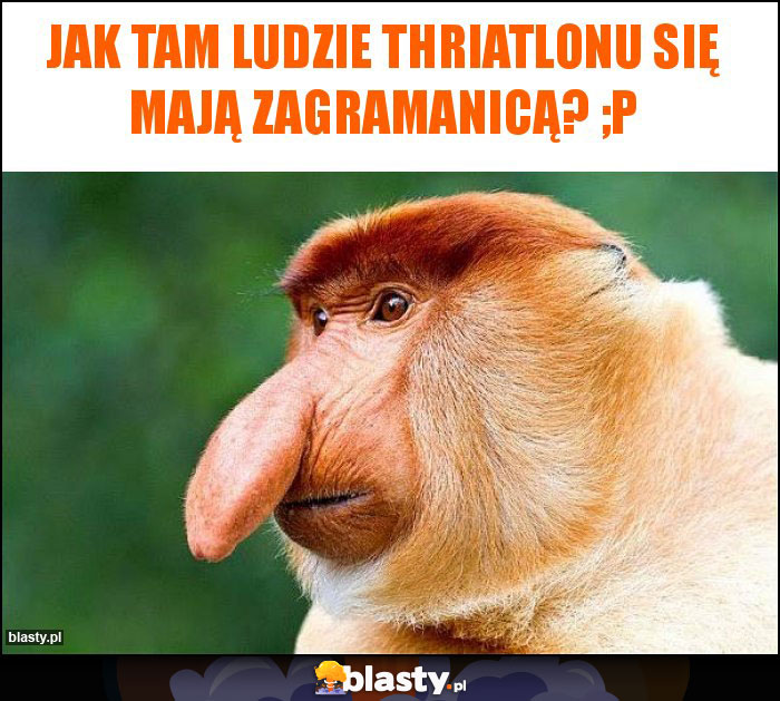 Jak tam ludzie thriatlonu się mają zagramanicą? ;p Jak tam ludzie thriatlonu się mają zagramanicą? ;p