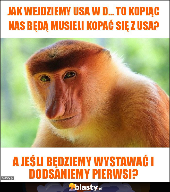 Jak wejdziemy USA w d... to kopiąc nas będą musieli kopać się z USA? Jak wejdziemy USA w d... to kopiąc nas będą musieli kopać się z USA?