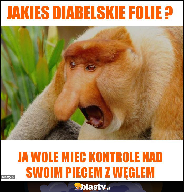JAKIES DIABELSKIE FOLIE ? JAKIES DIABELSKIE FOLIE ?
