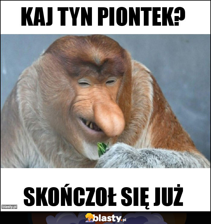 Kaj tyn Piontek?