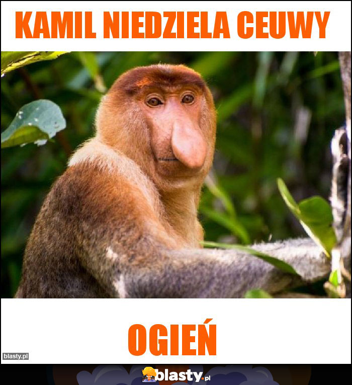 Kamil niedziela ceuwy Kamil niedziela ceuwy