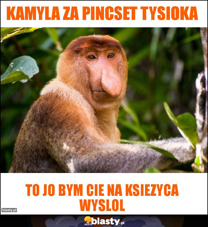 KAMYLA za Pincset tysioka KAMYLA za Pincset tysioka