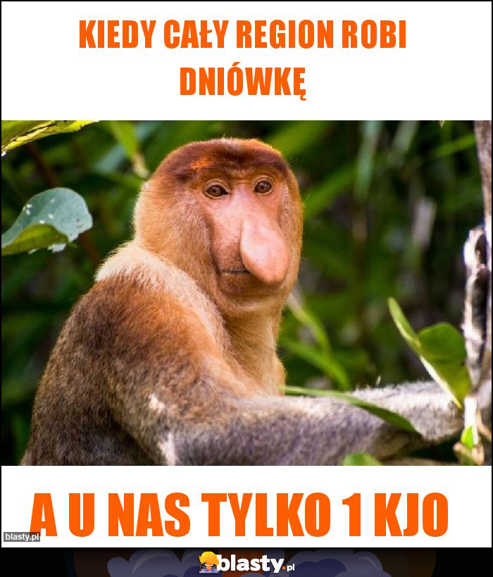 Kiedy cały region robi dniówkę Kiedy cały region robi dniówkę