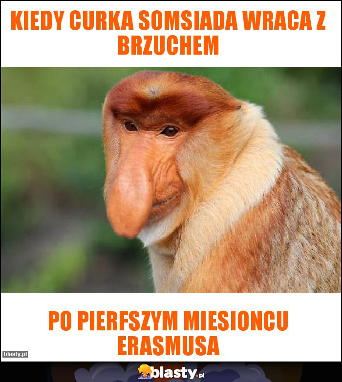 KIEDY CURKA SOMSIADA WRACA Z BRZUCHEM KIEDY CURKA SOMSIADA WRACA Z BRZUCHEM