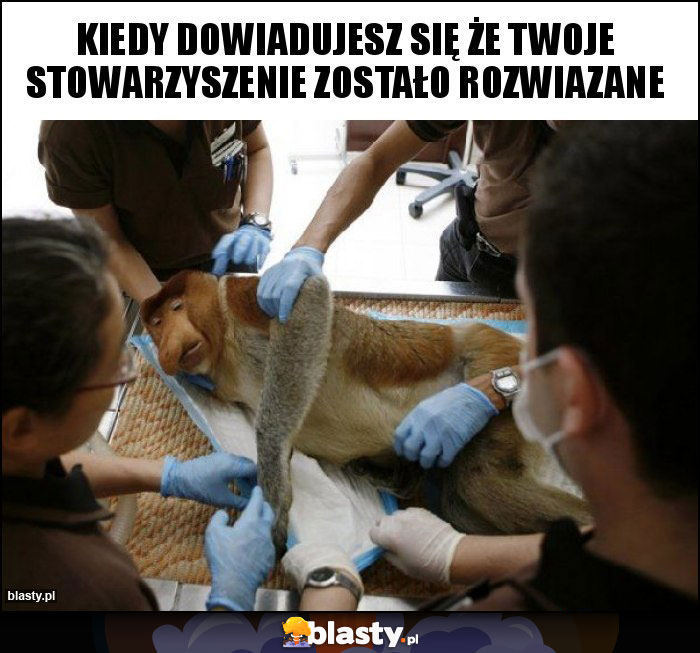 KIEDY DOWIADUJESZ SIĘ ŻE TWOJE STOWARZYSZENIE ZOSTAŁO ROZWIAZANE KIEDY DOWIADUJESZ SIĘ ŻE TWOJE STOWARZYSZENIE ZOSTAŁO ROZWIAZANE