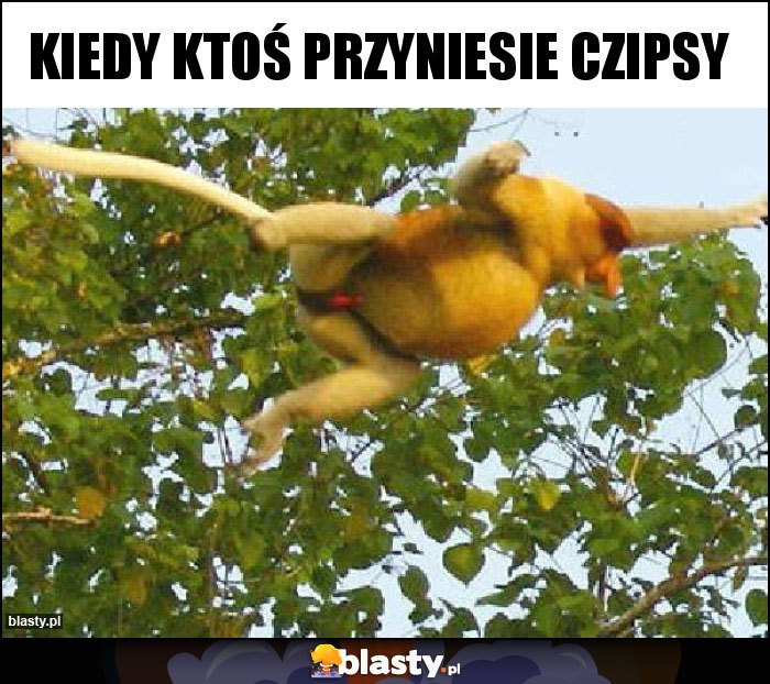 kiedy ktoś przyniesie czipsy kiedy ktoś przyniesie czipsy