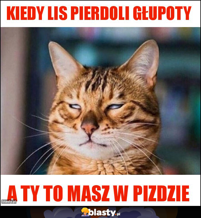 Kiedy lis pierdoli głupoty Kiedy lis pierdoli głupoty
