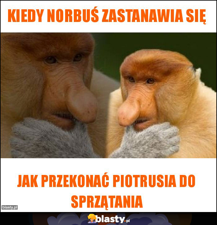Kiedy norbuś zastanawia się
