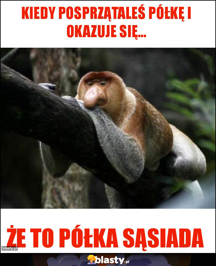Kiedy posprzątaleś półkę i okazuje się... Kiedy posprzątaleś półkę i okazuje się...