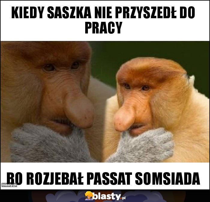 Kiedy Saszka nie przyszedł do pracy Kiedy Saszka nie przyszedł do pracy