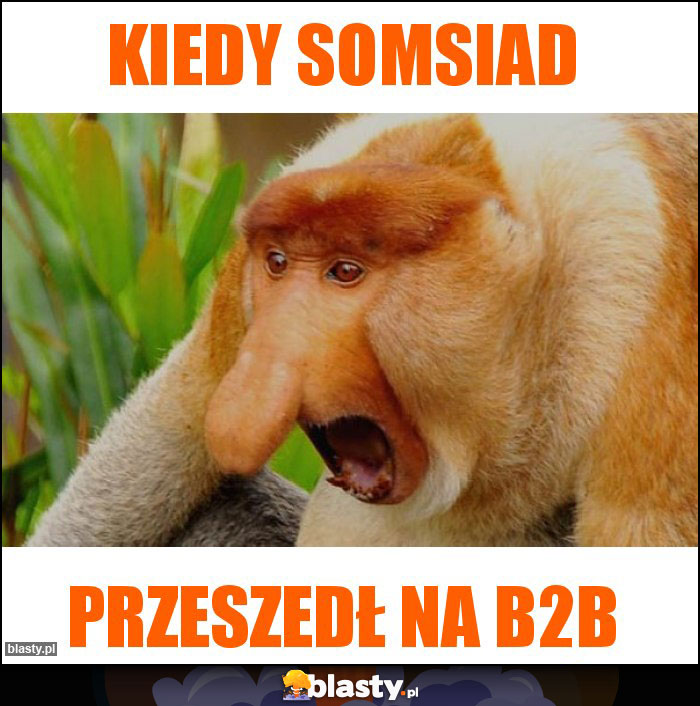 kiedy somsiad kiedy somsiad