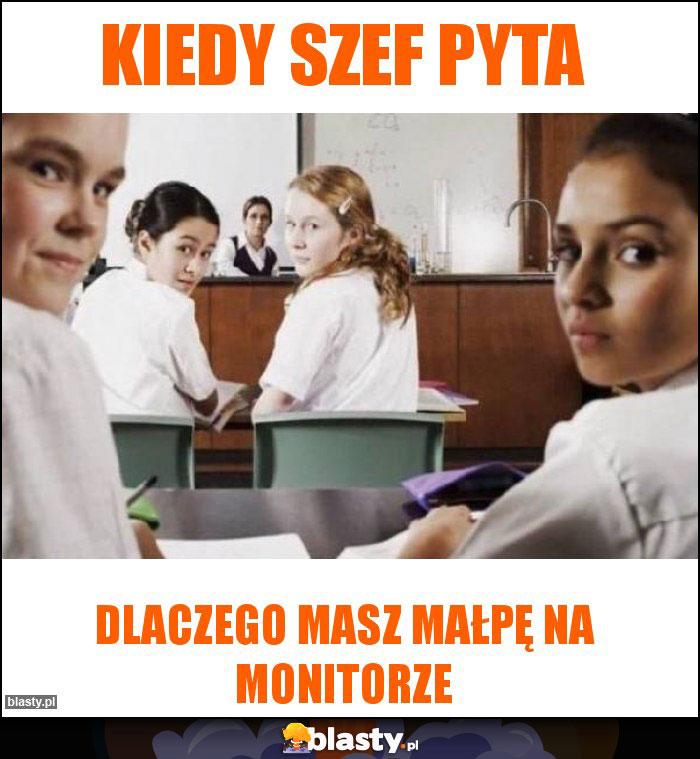 Kiedy szef pyta Kiedy szef pyta