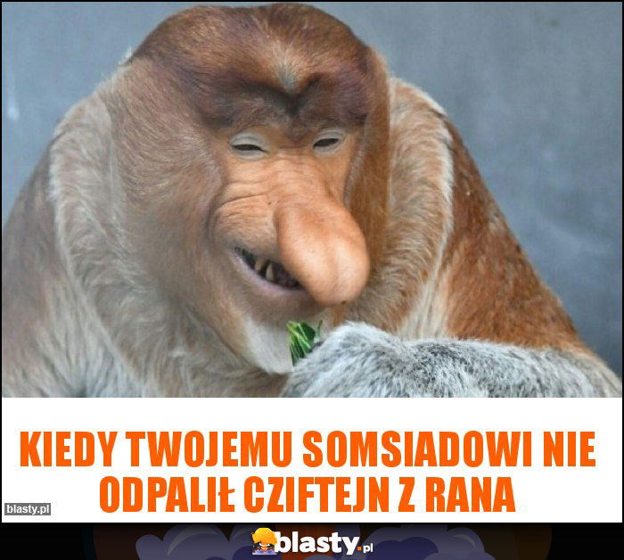 Kiedy Twojemu somsiadowi nie odpalił cziftejn z rana Kiedy Twojemu somsiadowi nie odpalił cziftejn z rana