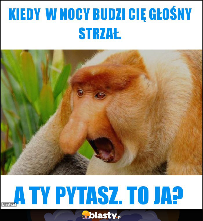 Kiedy w nocy budzi cię głośny strzał. Kiedy w nocy budzi cię głośny strzał.