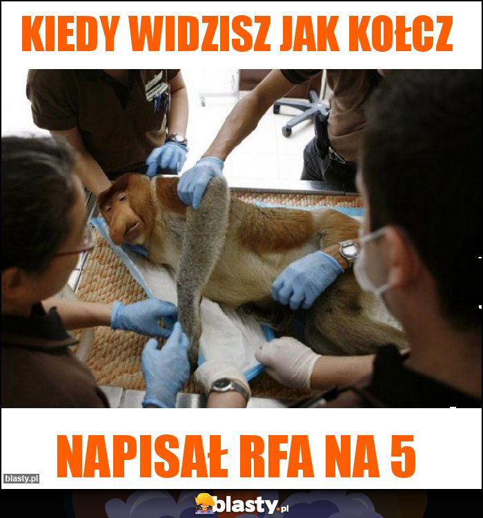 Kiedy widzisz jak Kołcz Kiedy widzisz jak Kołcz