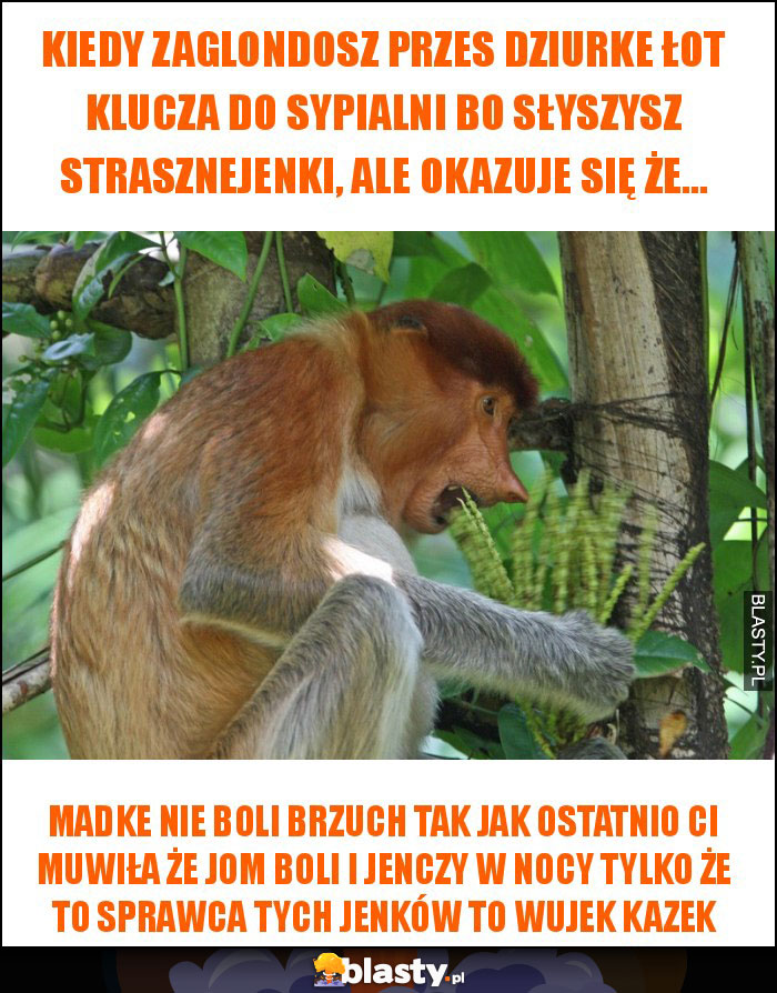 kiedy zaglondosz przes dziurke łot klucza do sypialni bo słyszysz strasznejenki, ale okazuje się że... kiedy zaglondosz przes dziurke łot klucza do sypialni bo słyszysz strasznejenki, ale okazuje się że...