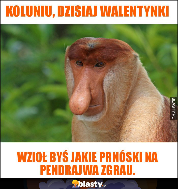 Koluniu, dzisiaj walentynki