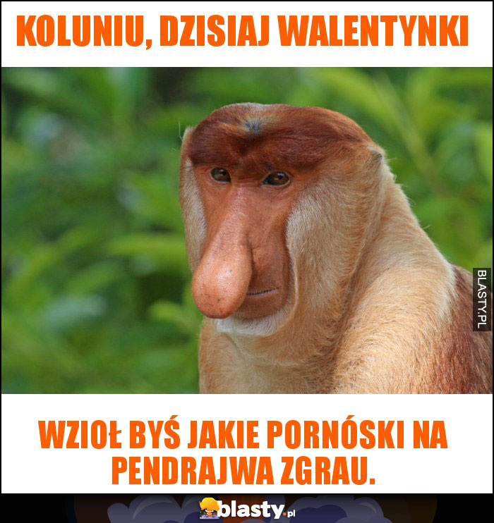 Koluniu, dzisiaj walentynki