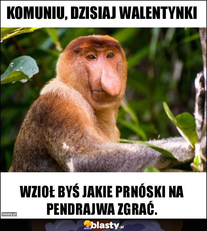 Komuniu, dzisiaj walentynki