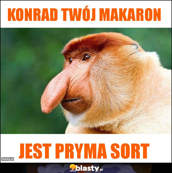 Konrad Twój makaron Konrad Twój makaron